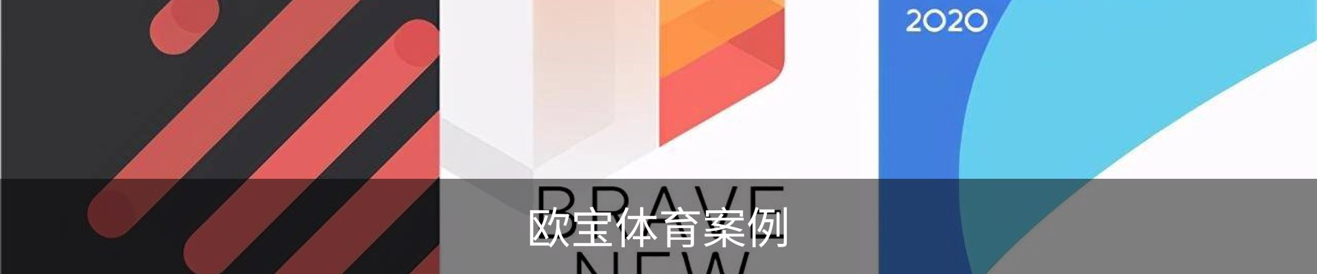 欧宝体育案例